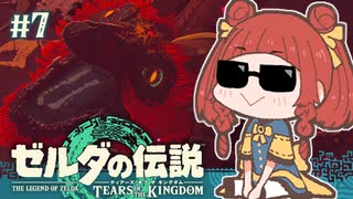 【ゼルダの伝説 TotK】暇つぶしにラスボスを倒した執政官ちゃん #7