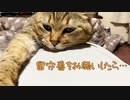 長時間 留守番してもらったら…