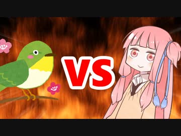 茜ちゃんVSうぐいす