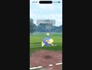 ネタ切れです..ハクリューランターンベロリンガ vs ランターンジュゴンファイアロー 2024-04-04_01
