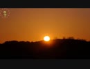 2024.04.05 (48倍速)ニコ生TSDL
