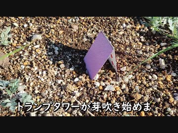 春を探す（下ネタではない）