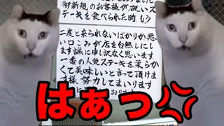 【いきなりステーキ】経営危機と炎上を何度も繰り返す名物社長【ペッパーフードサービス】 #猫マニ #猫ミーム