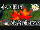 なぜ紅葉して光合成をわざわざ妨害するのか？【ゆっくり解説】