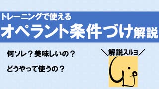 しつけで使えるオペラント条件づけの解説