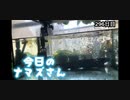 赤ちゃんなまず飼育日記 296日目