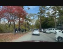 磐梯吾妻スカイライン~五色沼～福島市ドライブ21　五色沼から県道459号を福島市方面へ　マツダ２車載　2023　1028