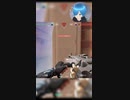 【VALORANT】なんかバグって壁が見えるんだけどｗ【しゅたぽ日記】