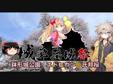 城郭登城祭　鉢形城　氏邦桜を見に行こう　ゆっくりさんのぶらり旅　その１５