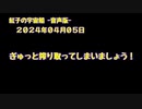 紅子の宇宙船 －音声版－ 2024年04月05日