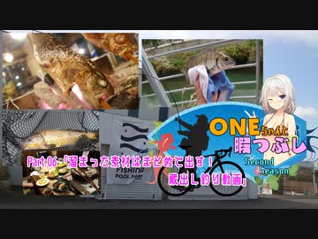 おねちゃんと暇つぶしSS.06「溜まった素材はまとめて出す！蔵出し釣り動画」
