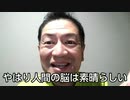 20200423_戦慄Ｕ※Ｏ！未◯認◯行◯体の編隊が時空間を歪ませ異次元に消える亜空間の超科学☆Ｕ．※．Ｏ．は未確認生物ＵＭＡか未来人か古代人の化身か！ワクテカ♪