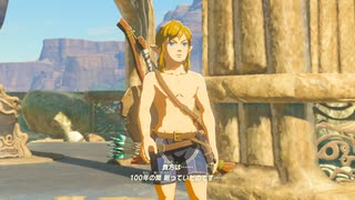 【実況】『ゼルダの伝説 ブレス オブ ザ ワイルド』 Part2