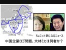 ちょこっと気になるニュース　中国企業ロゴ問題、大林ミカは何者か？