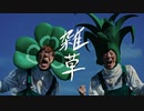 【ニコカラ】HIKAKIN＆SEIKIN/雑草（off vocal）