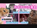 【猫ミーム】サンライズ初の萌アニメで百合キャラが大暴れした話【舞-HiME】