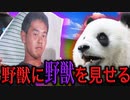 動物に野獣先輩を見せてみよう（提案）