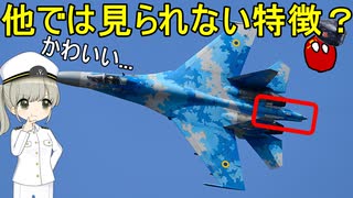 なぜソ連のSu-27戦闘機にはしっぽが生えているの？