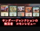 [MTG]パウパー目線で見る！「サンダー・ジャンクションの無法者」コモンレビュー[番外編]