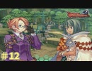 【ドラゴンシャドウスペル 実況プレイ＃12】目指せ！最強のヴァリアント！