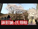 【城郭登城祭】鉢形城と氏邦桜 ～やっぱり満開の桜の花が見たくって～ 【VOICEVOX旅行】