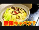 春キャベツを使った簡単レシピです！無限キャベツを鍋にしたら激ウマでした！