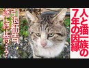 猫一族と人間の因縁、7年目に節目が訪れる