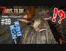 第312位：【7Days to Die】琴葉姉妹のNavezgane紀行α21　#36