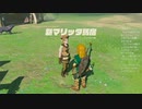 #16【ゼルダの伝説 ティアーズ オブ ザ キングダム】ゼルダ姫！これは浮気ではないから！