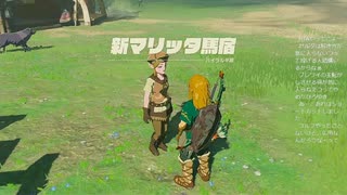 #16【ゼルダの伝説 ティアーズ オブ ザ キングダム】ゼルダ姫！これは浮気ではないから！