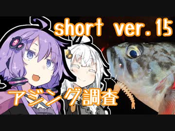 あかりの食材調達日誌 short ver.15