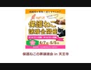 保護ねこの家譲渡会 in 天王寺