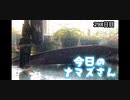 赤ちゃんなまず飼育日記 298日目