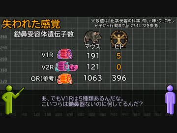 【ゆっくり考察/解説?】ジュンコとフェロモン(トリュフ)