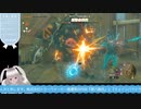 【生放送アーカイブ】ゾーラ観光と地上絵とおのれカバンダぁ！なティアキン生放送22回目【4/8】