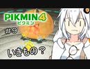 【ピクミン４初見】キズミン４＃９【紲星あかり実況】