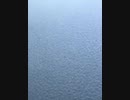 73415293022__8002B65F-D933-44E4-BCA9-D27B9D58B083