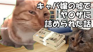 キャバ嬢の嘘でヤ〇ザに詰められた話【猫ミーム】