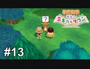 そうだね、プロテインだね【牧場物語 再会のミネラルタウン】# 13
