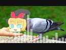 は↑と↓（MGRoid）