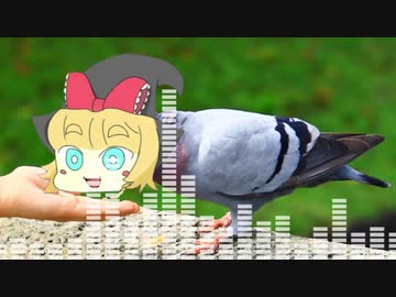 は↑と↓（MGRoid）