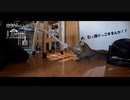【第248回】お餅やさん？とウェットティッシュとスギナ