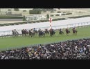 2024 桜花賞(GⅠ)　ステレンボッシュ