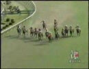 サマーシリーズ中間ダイジェスト