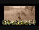 【ゆっくり実況】やる気ある？？？ Part7【ゼルダの伝説 ティアーズ オブ ザ キングダム】