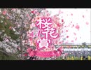 【ウマ娘風】第84回桜花賞GⅠ(2024)【ステレンボッシュ】【モレイラマジック炸裂！】