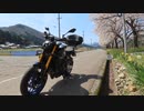 【２０２４　春】　バイクｄｅ　桜　by　MT-09 SP