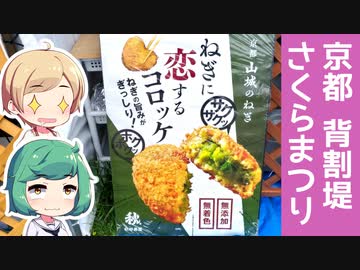 桜まつりへ行きましたが桜の映像はありません