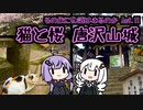 その旅に物語はあるのか Act.11【猫と桜 唐沢山城】【城郭登城祭】
