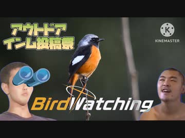 迫真野鳥部 バードウォッチングの裏技mp.1【アウトドアインム投稿祭】